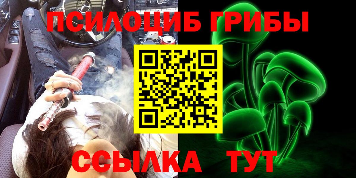 Галлюциногенные грибы GOLDEN TEACHER Волгоград