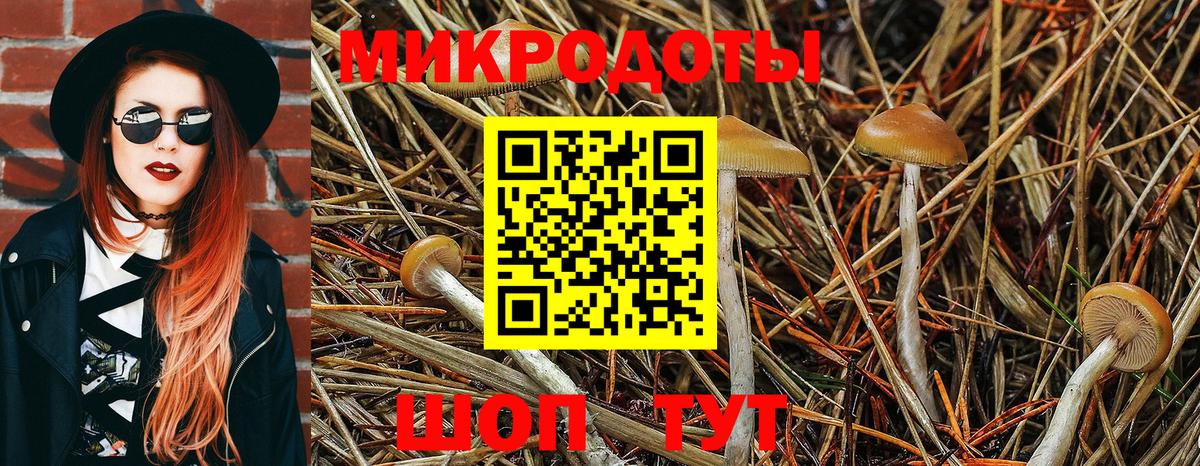 где найти   Вход с VPN  Волгоград  Галлюциногенные грибы мицелий 